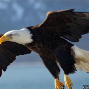 Meet your Posher, Rexana